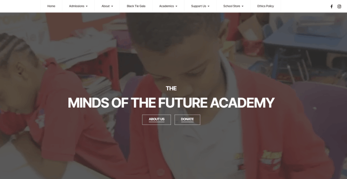 Minds of the Future Academy — website by A&O Design Solutions